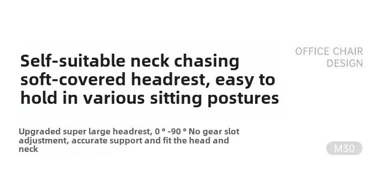 HotOffice Chair, Lunch Break, Reclining, Comfortable, Sedentary, Computer Chair, Recliner, Living Room, Bedroom, Sofa
