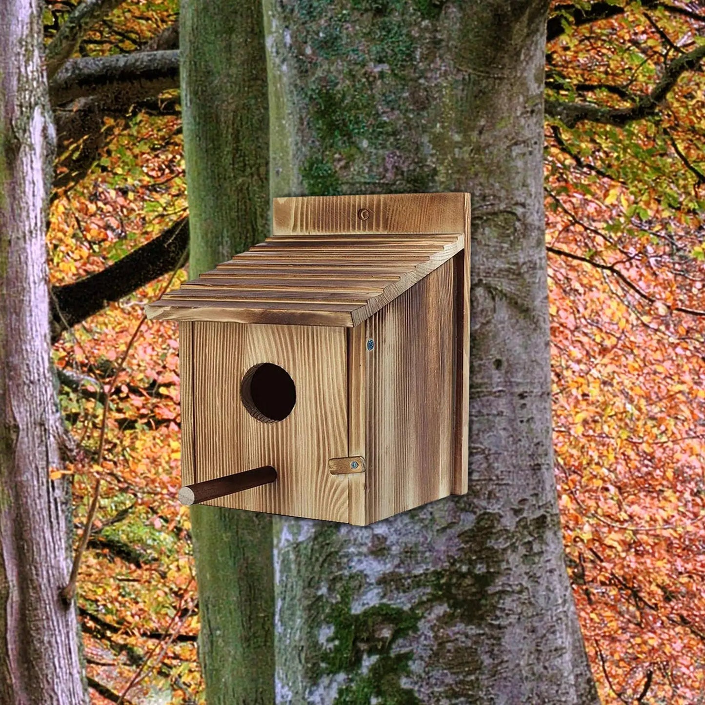 Bird House Sheltered Warm Place Hanging Birdhouse for Kids Adults Garden Patio Decorative Small Birds Bird Viewing Outdoor