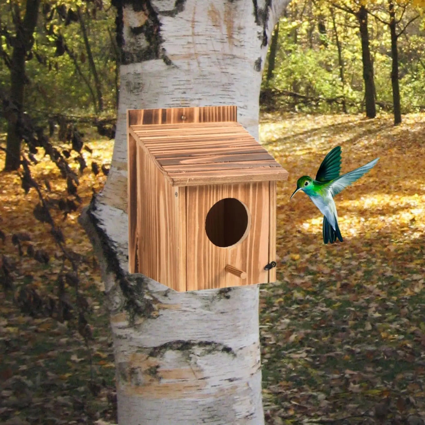 Outdoor Bird House Bluebird House Hanging Birdhouse for Window Balcony Patio